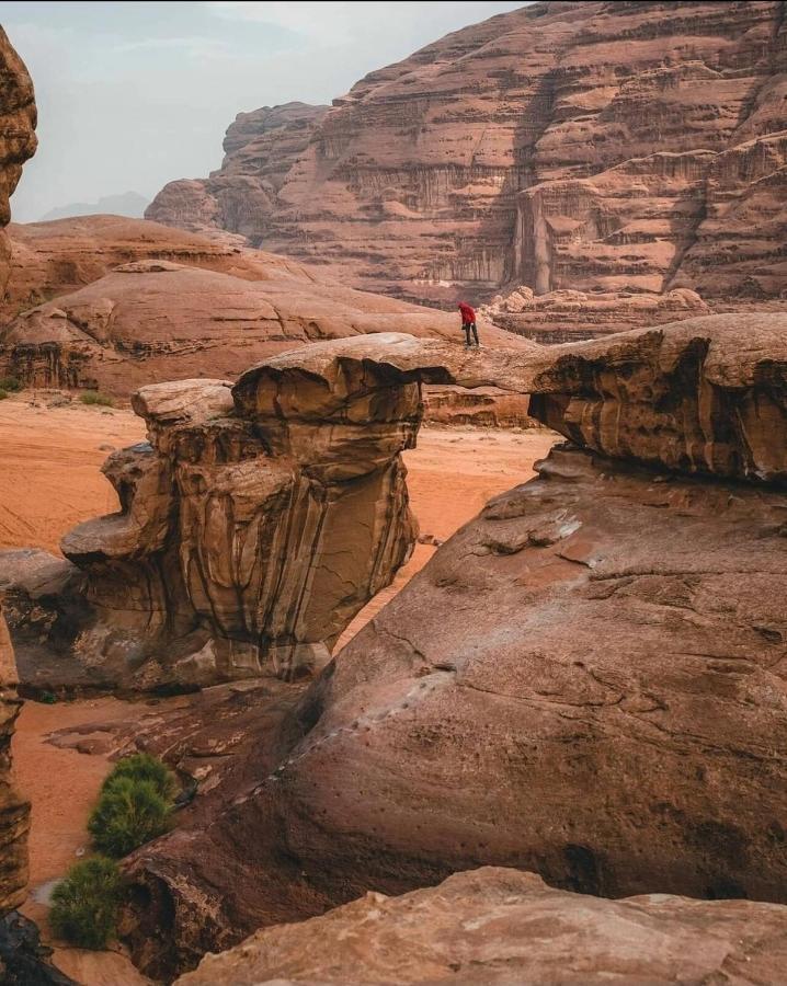 Rehana Rum Camp Wadi Rum Eksteriør bilde